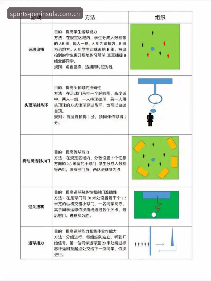 深度揭秘：半岛体育使用教程背后的高效玩法，老用户才知道的门道
